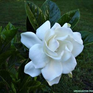 Meet your Posher, Marina